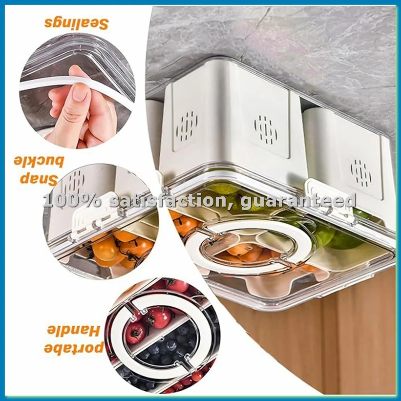 صينية فواكه للنزهات الكبيرة، ص - مراجعة Food Storage Box Large وسعره
