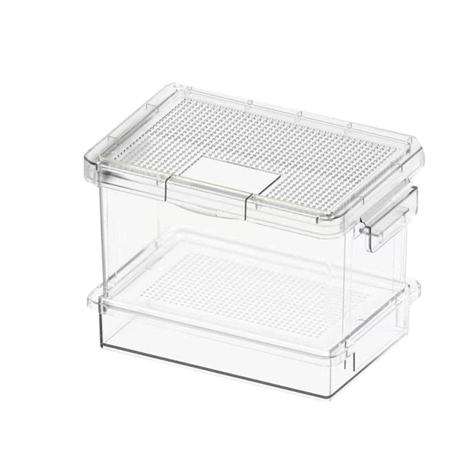 علبة تغذية للسلاحف مصنوعة من ا - مراجعة Food Storage Box وسعره